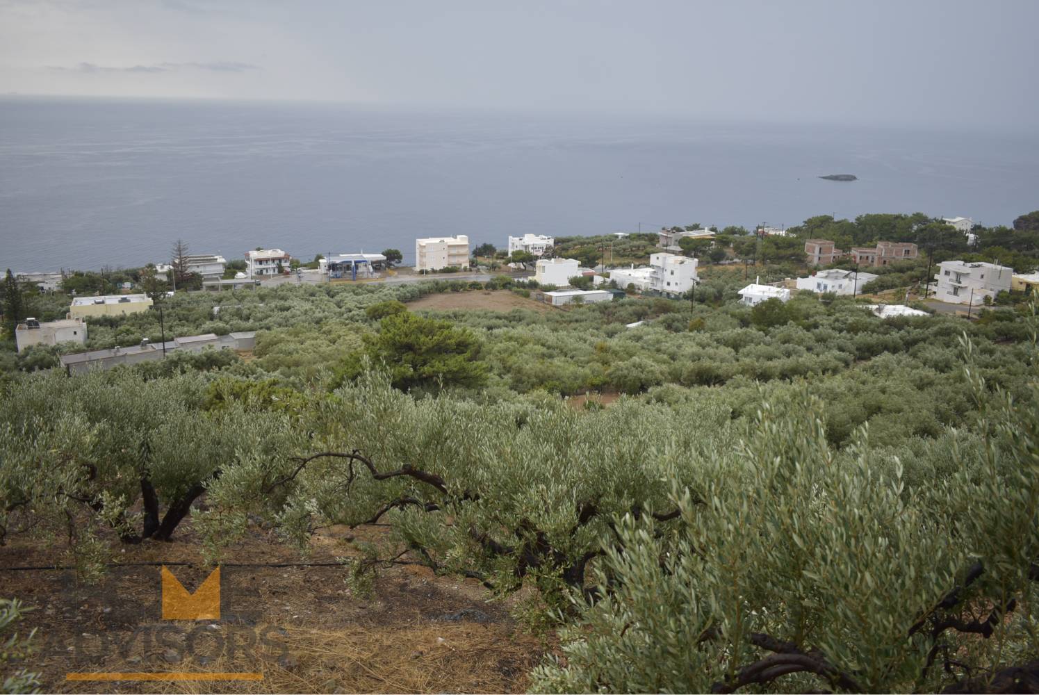 Plot in Achlia of Ierapetra.