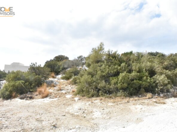 Plot in Koutsounari.