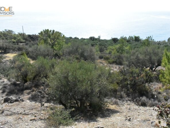 Plot in Ferma with Seaview.