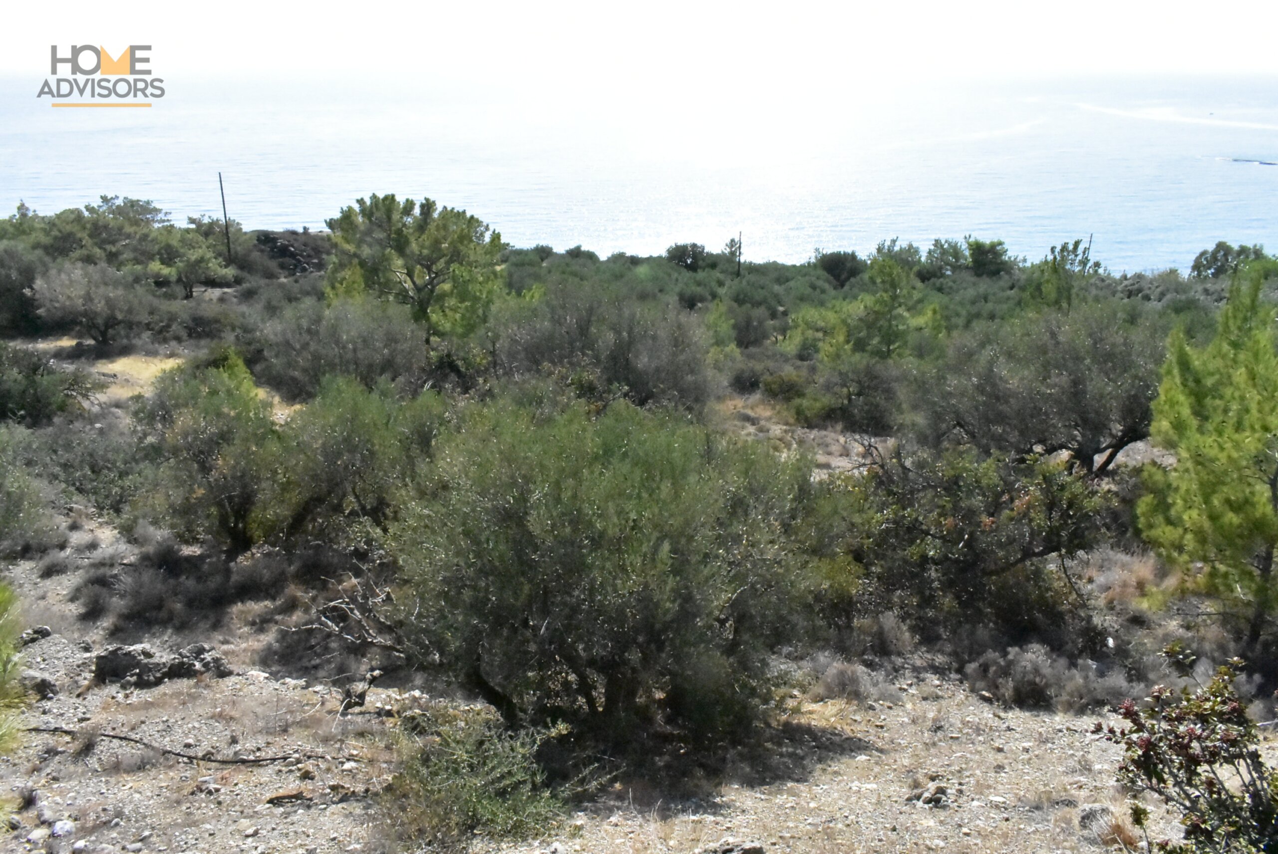 Plot in Ferma with Seaview.