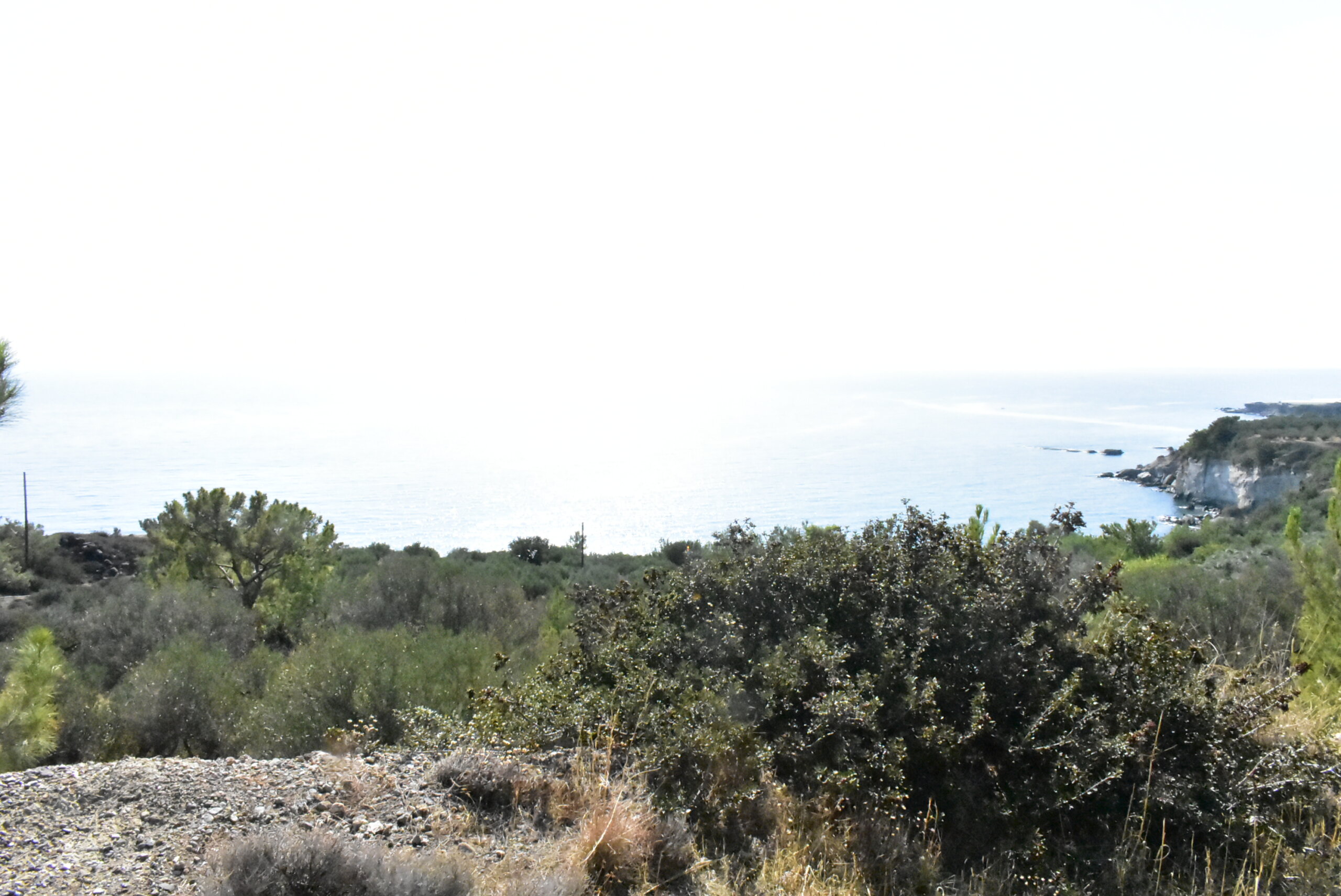 Plot in Ferma with Seaview.