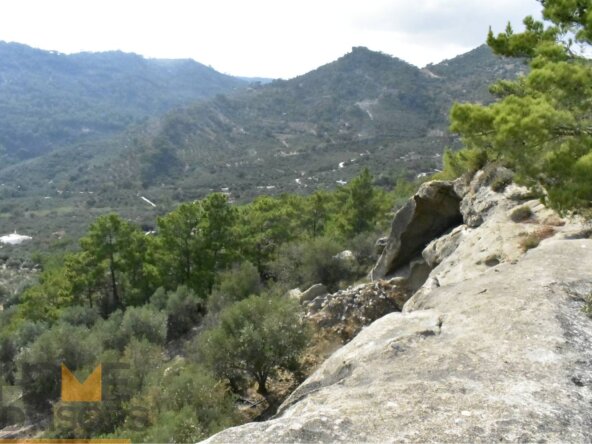 The plot in Oreino.