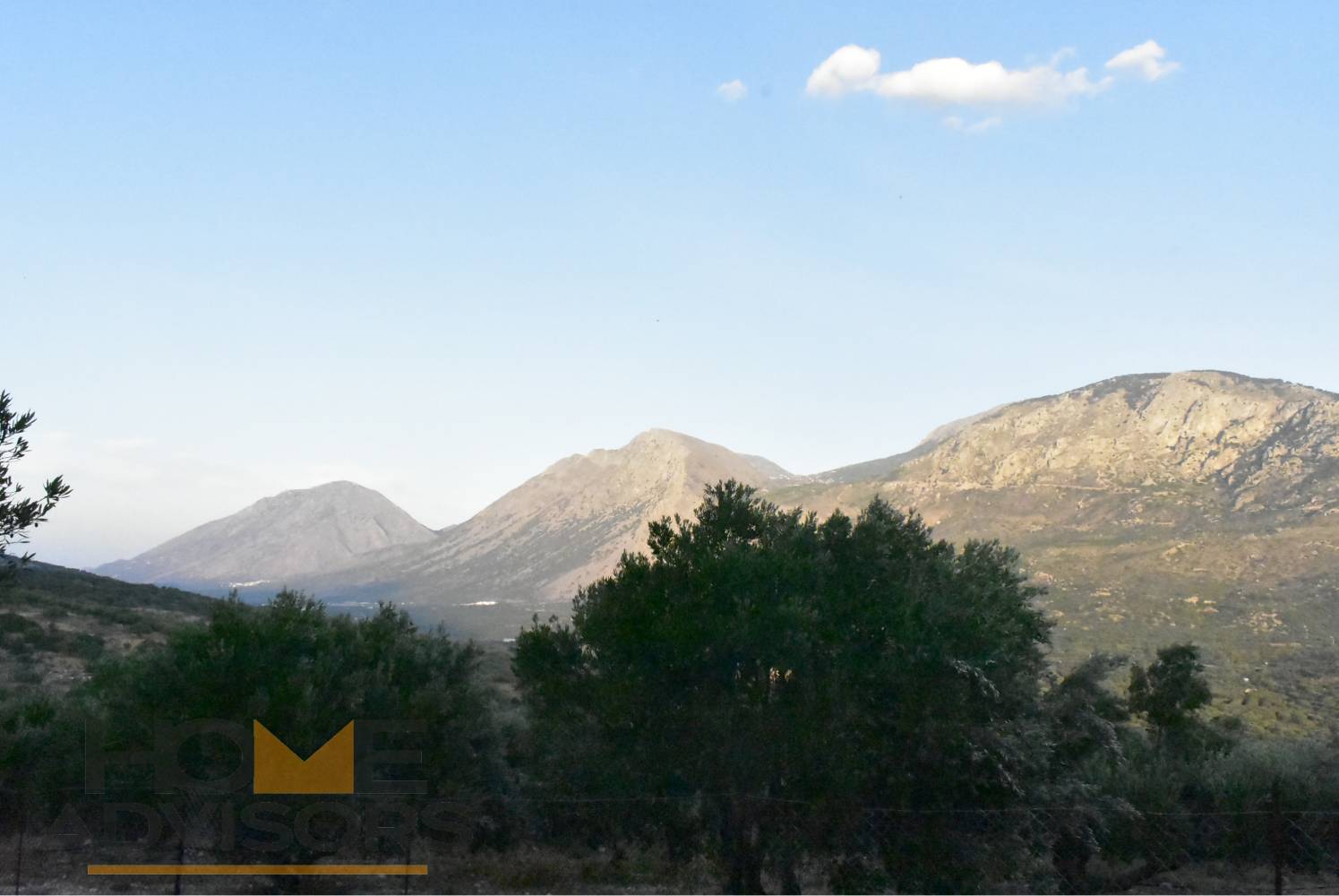 Plot with olives in Episkopi of Ierapetra.