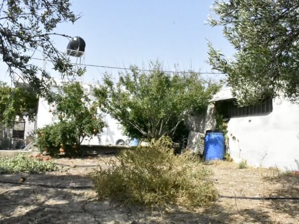 Plot in Ierapetra.