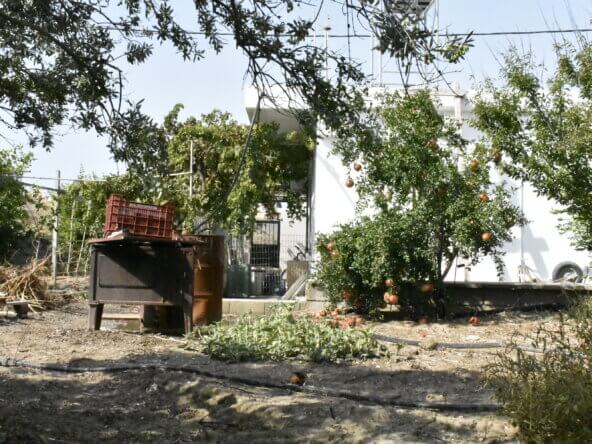 Plot in Ierapetra.