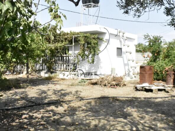 Plot in Ierapetra.