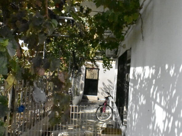 Plot in Ierapetra.