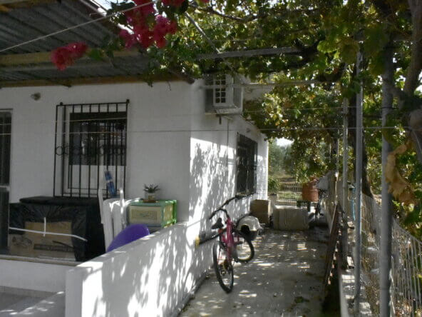 Plot in Ierapetra.