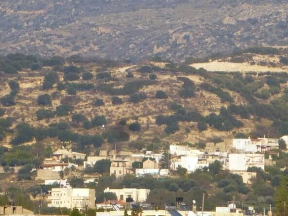 Plot in Koutsounari.