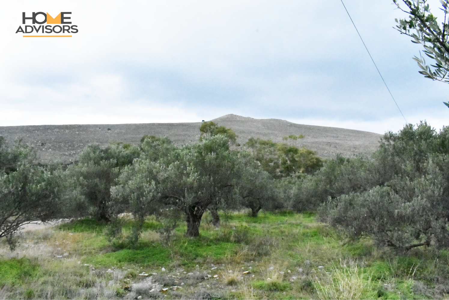 2200 sqm plot in the Village of Kavousi