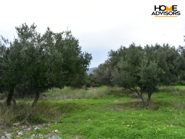 2000 sqm plot in the area of Monastiraki
