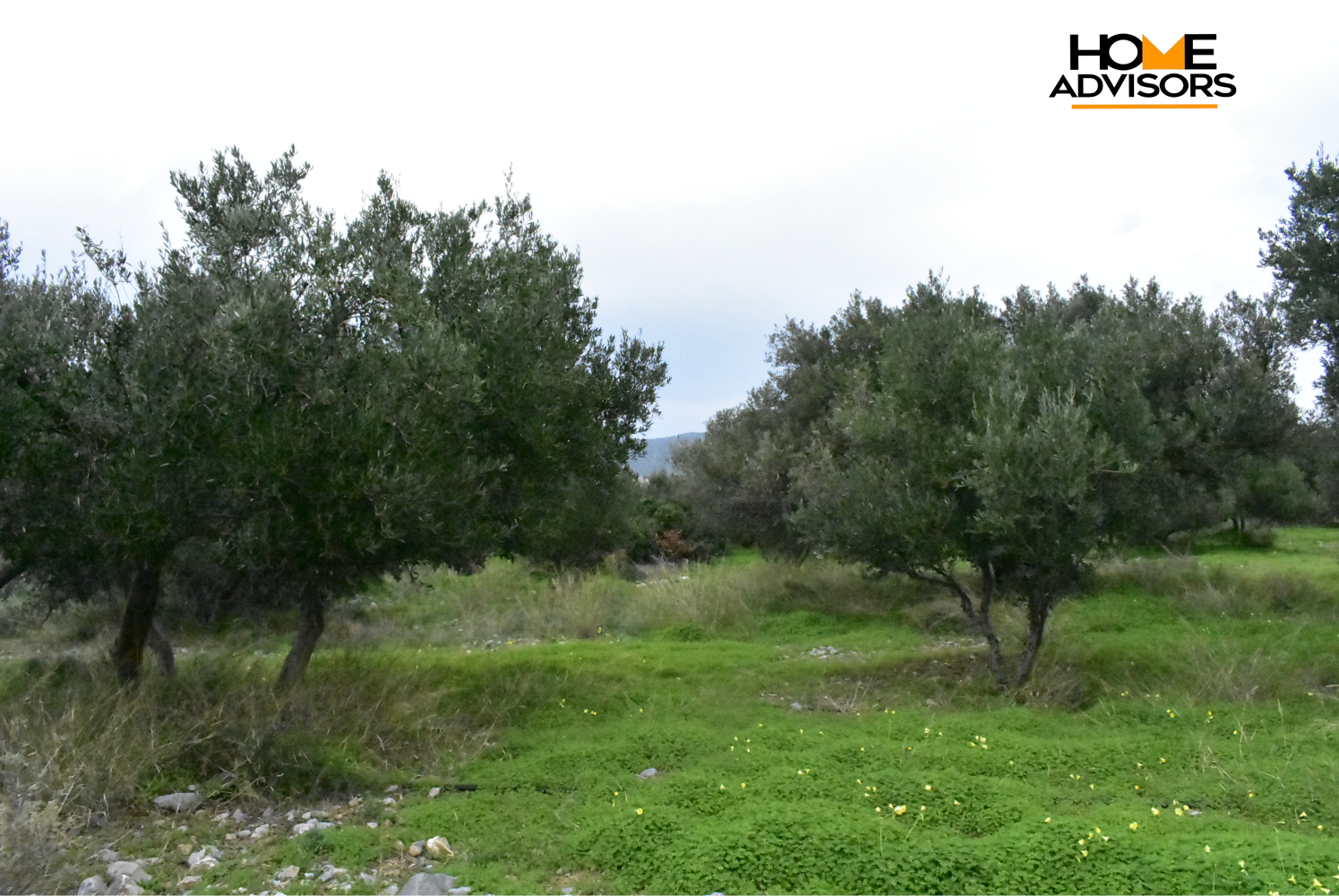 2000 sqm plot in the area of Monastiraki