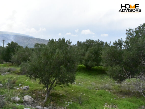 2000 sqm plot in the area of Monastiraki