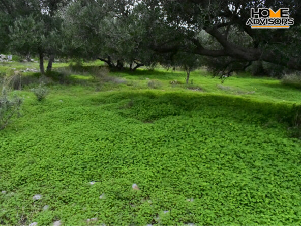 2000 sqm plot in the area of Monastiraki