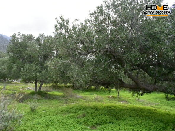 2000 sqm plot in the area of Monastiraki