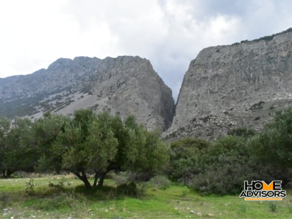 950 sqm plot with olive trees in the area of Monastiraki