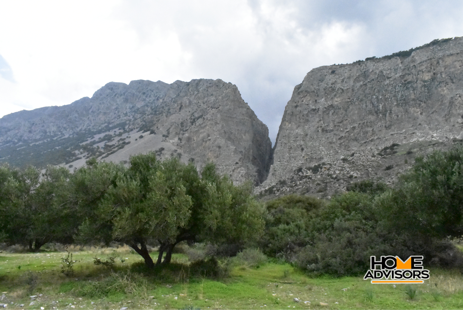 950 sqm plot with olive trees in the area of Monastiraki