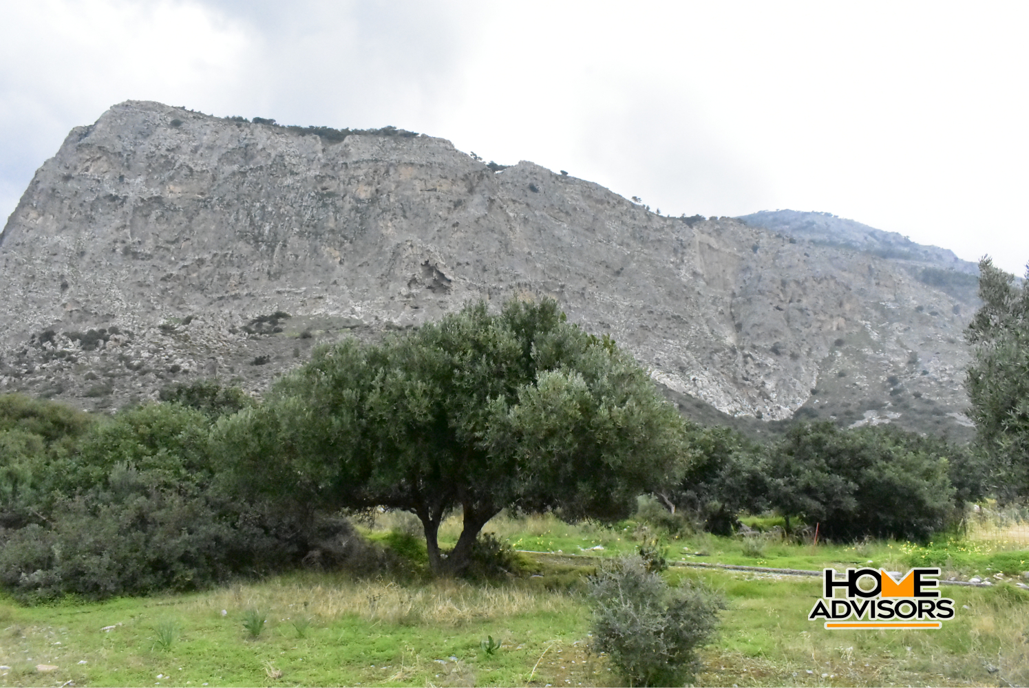 950 sqm plot with olive trees in the area of Monastiraki