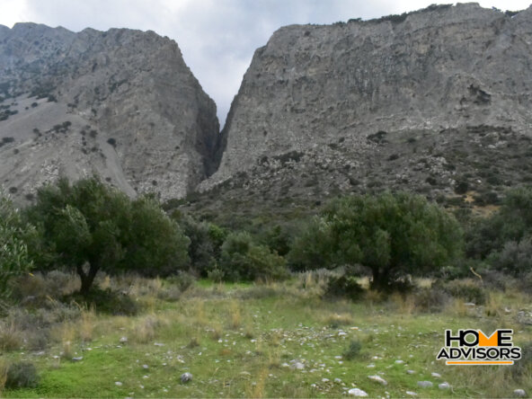 950 sqm plot with olive trees in the area of Monastiraki