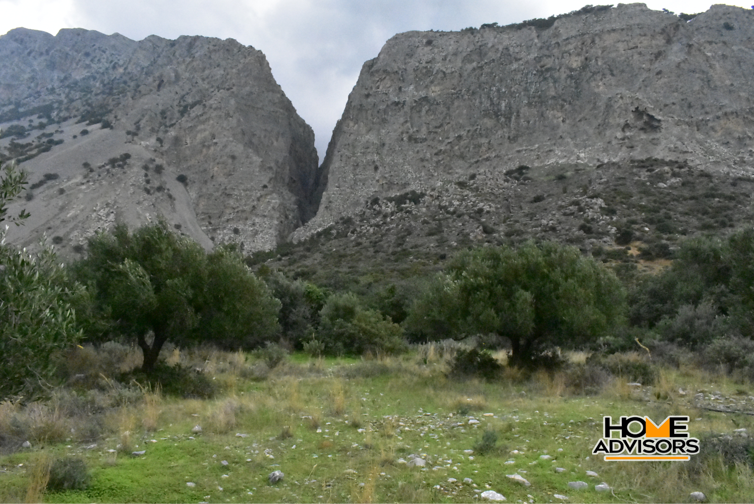 950 sqm plot with olive trees in the area of Monastiraki