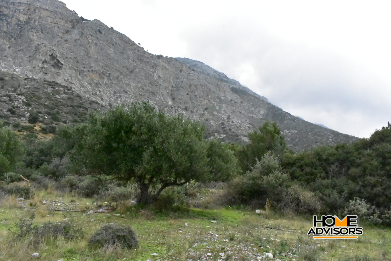 950 sqm plot with olive trees in the area of Monastiraki