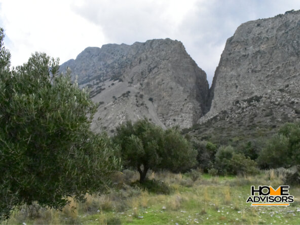 950 sqm plot with olive trees in the area of Monastiraki
