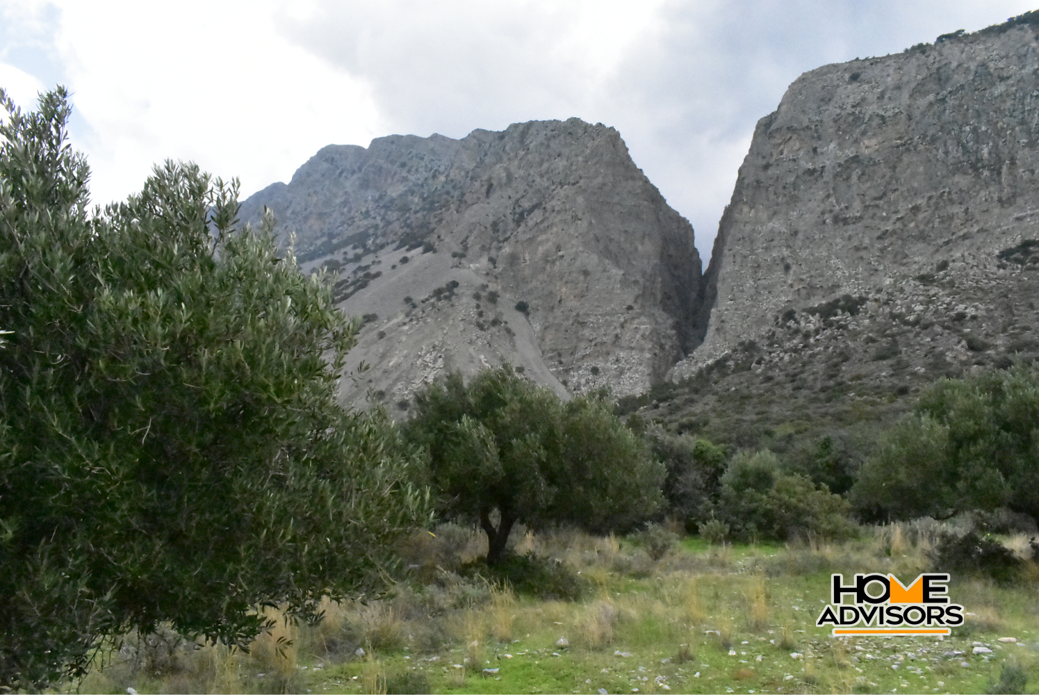 950 sqm plot with olive trees in the area of Monastiraki