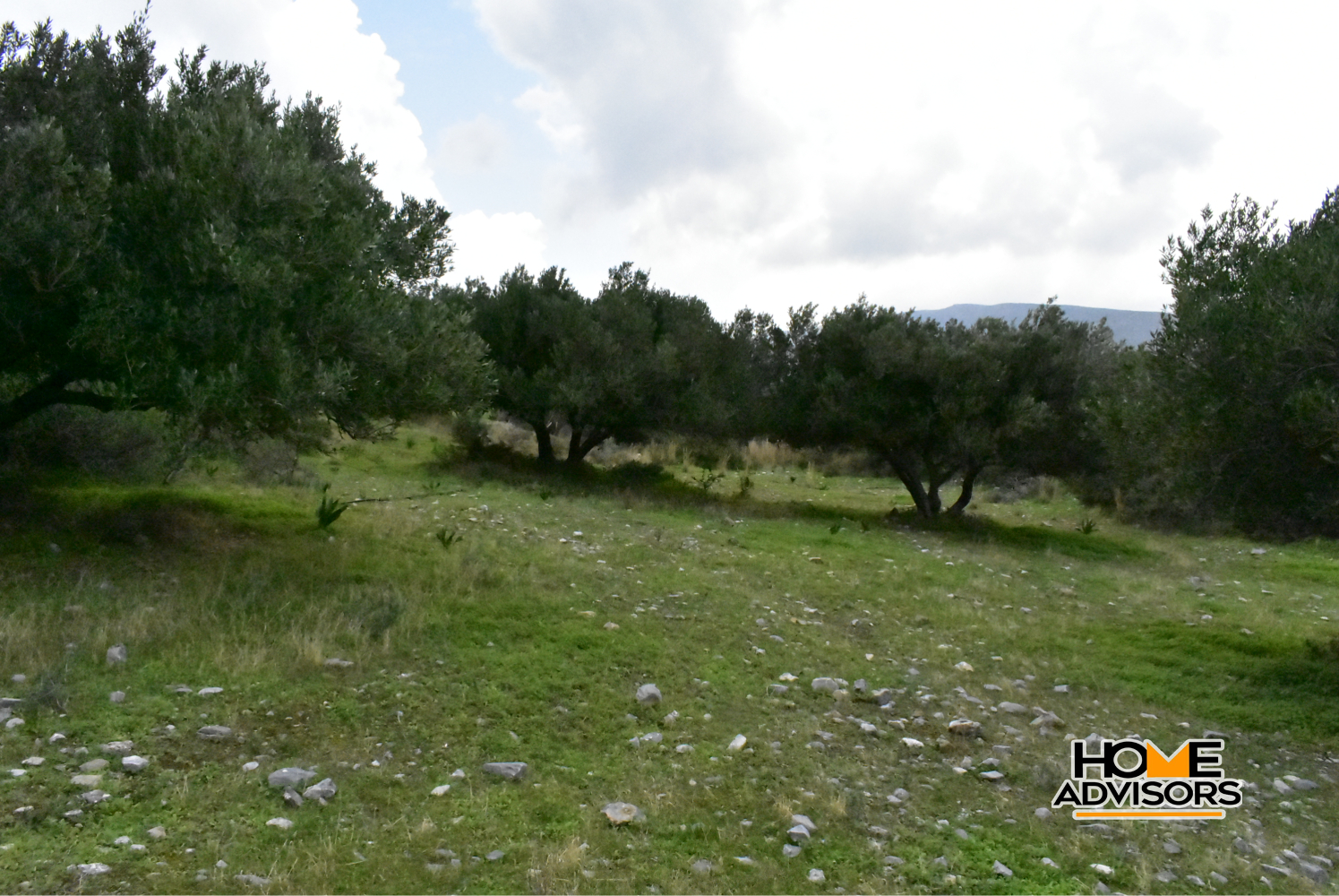 950 sqm plot with olive trees in the area of Monastiraki