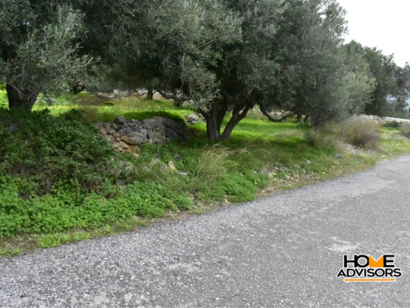 950 sqm plot with olive trees in the area of Monastiraki