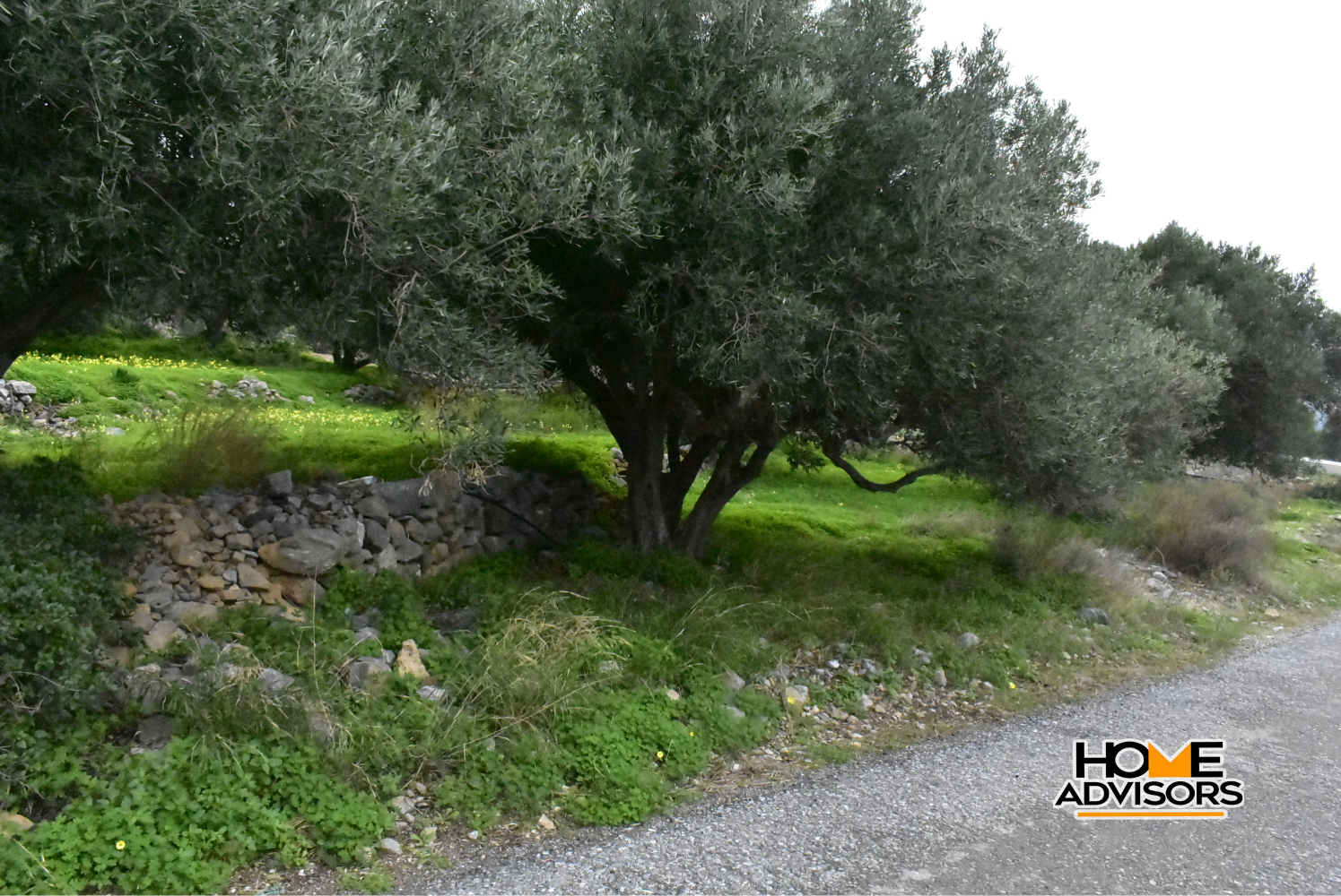 950 sqm plot with olive trees in the area of Monastiraki