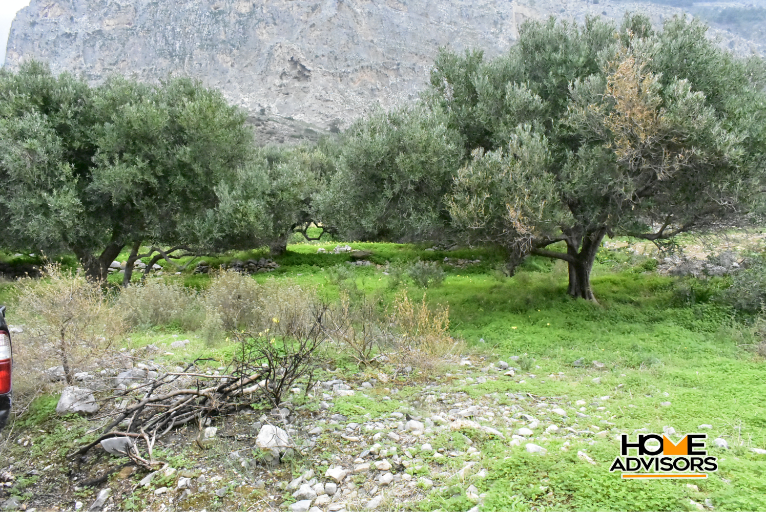 2500 sqm plot with olive trees in the area of Monastiraki | Crete