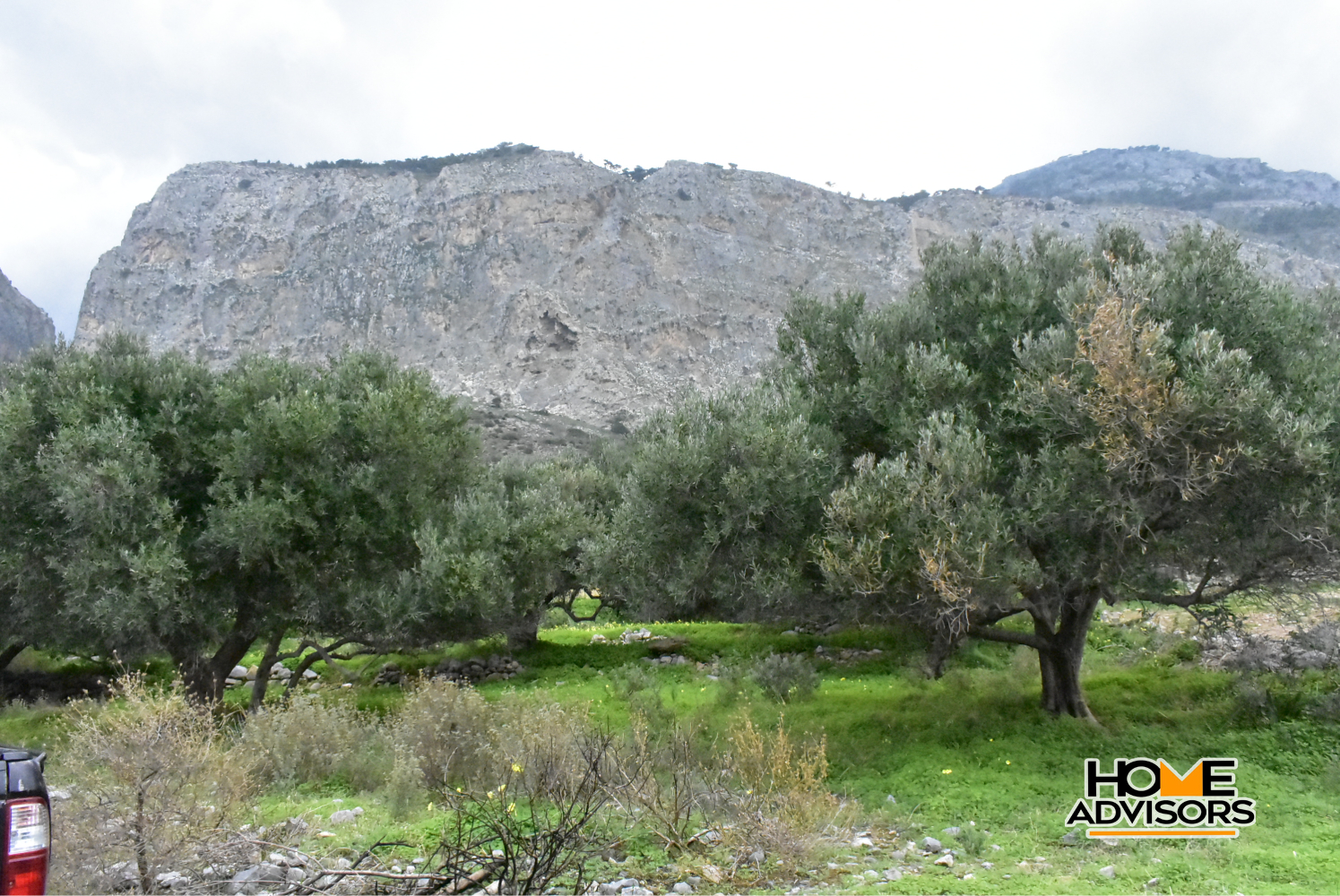 2500 sqm plot with olive trees in the area of Monastiraki | Crete