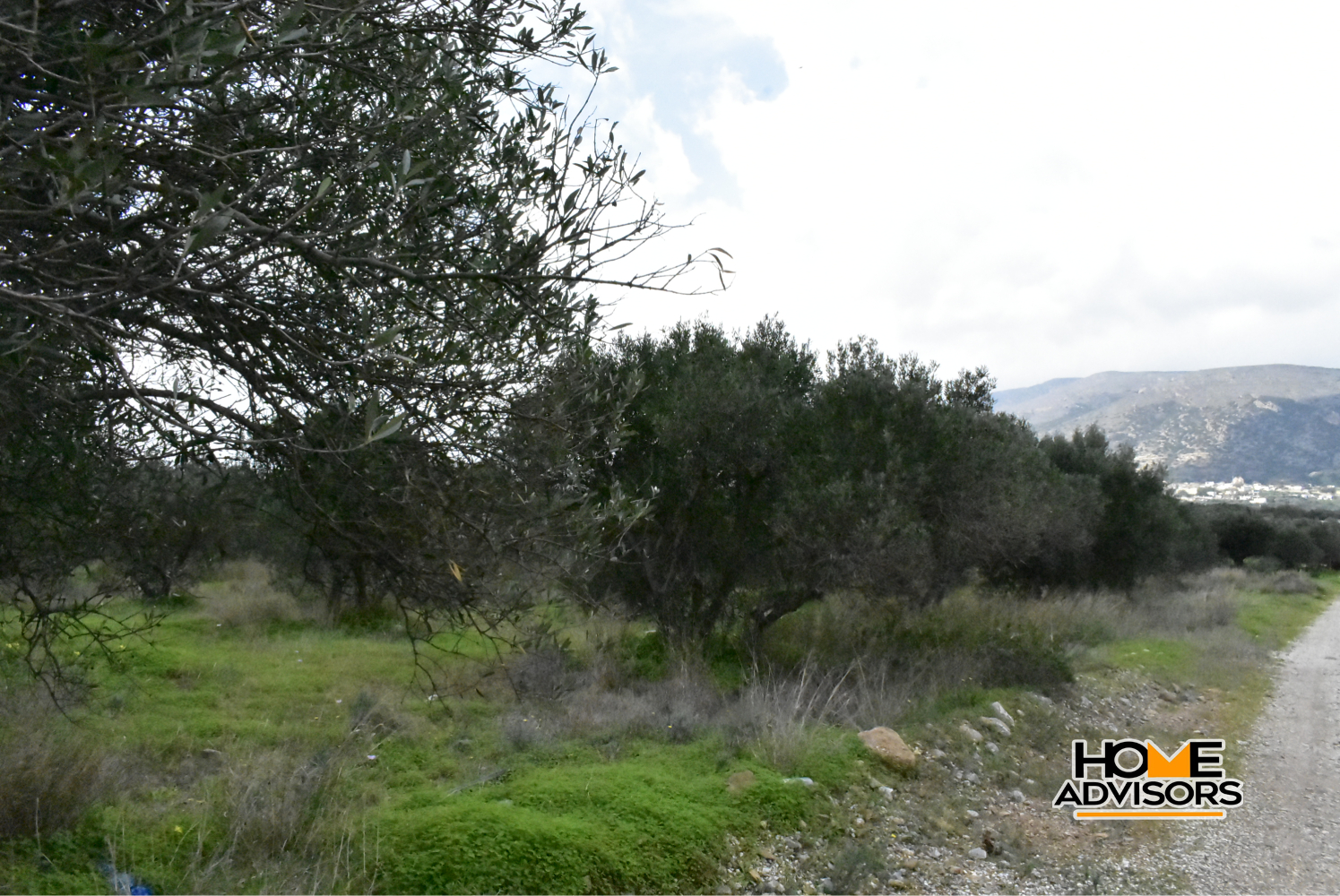 950 sqm plot with olive trees in the area of Monastiraki