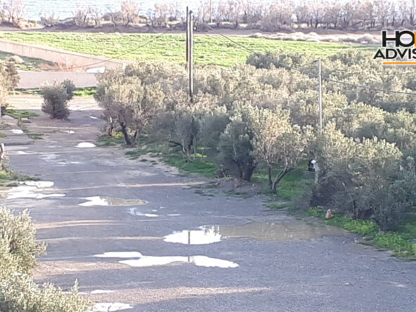 300 sqm building in a 4000 sqm plot in Koutsounari