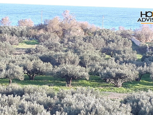300 sqm building in a 4000 sqm plot in Koutsounari