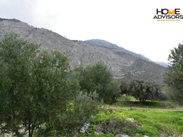 4000 sqm plot near the village of Pahia Ammos | Crete