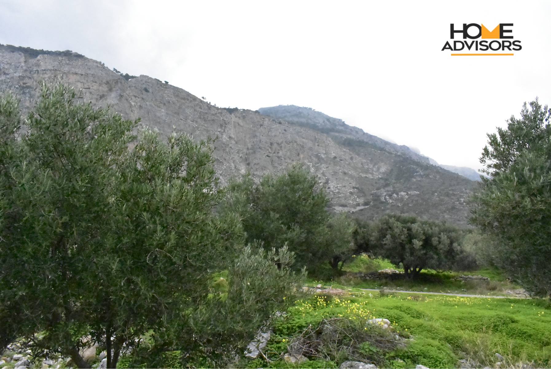 4000 sqm plot near the village of Pahia Ammos | Crete