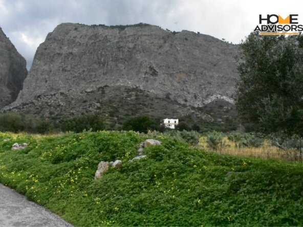 4000 sqm plot near the village of Pahia Ammos | Crete