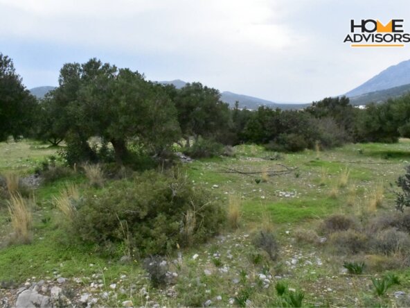 4000 sqm plot near the village of Pahia Ammos | Crete