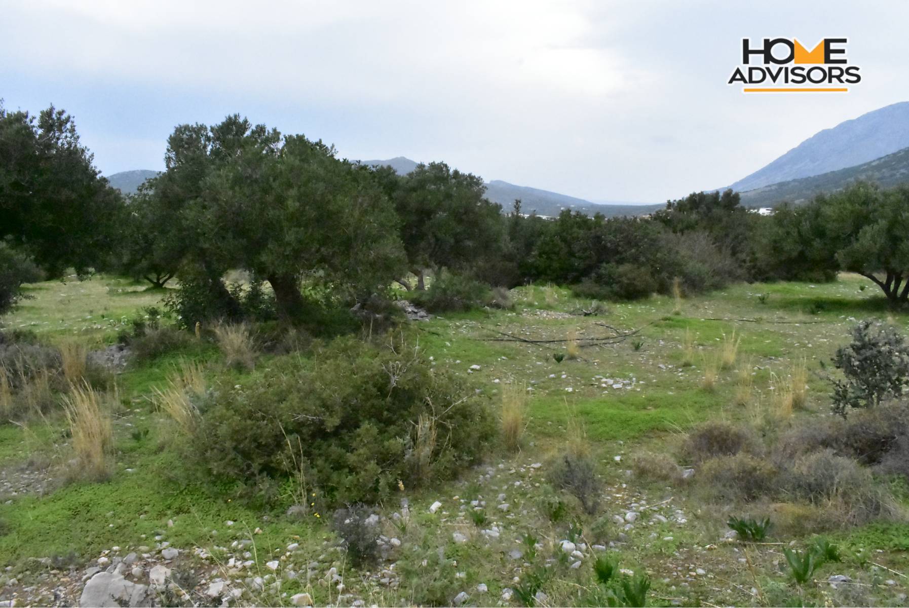 4000 sqm plot near the village of Pahia Ammos | Crete