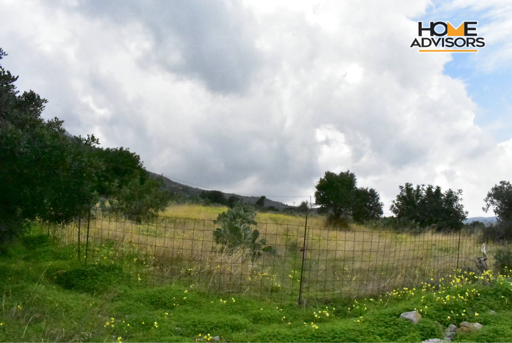 4000 sqm plot near the village of Pahia Ammos | Crete