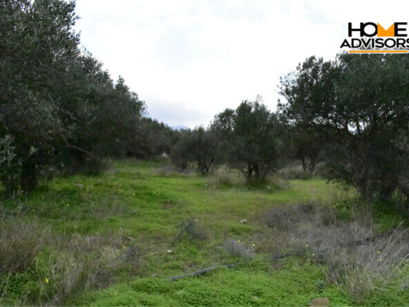 4200 sqm plot in the area of Monastiraki | Crete