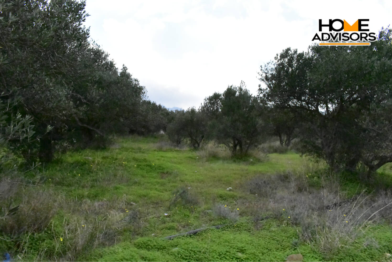 4200 sqm plot in the area of Monastiraki | Crete