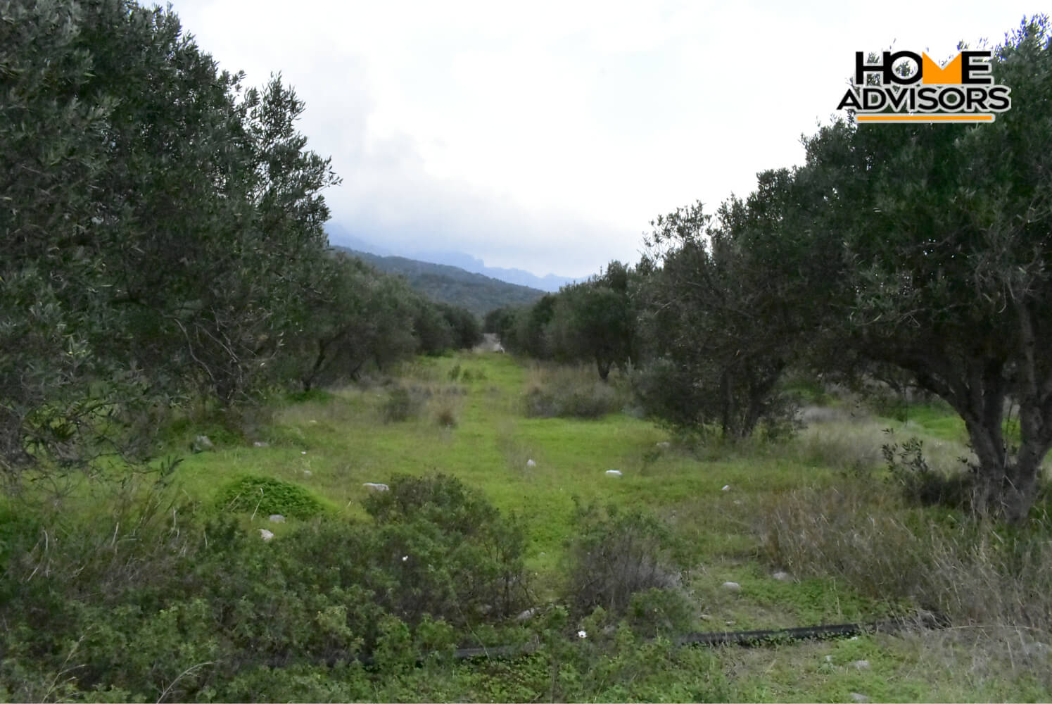 4200 sqm plot in the area of Monastiraki | Crete