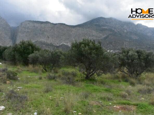 4200 sqm plot in the area of Monastiraki | Crete