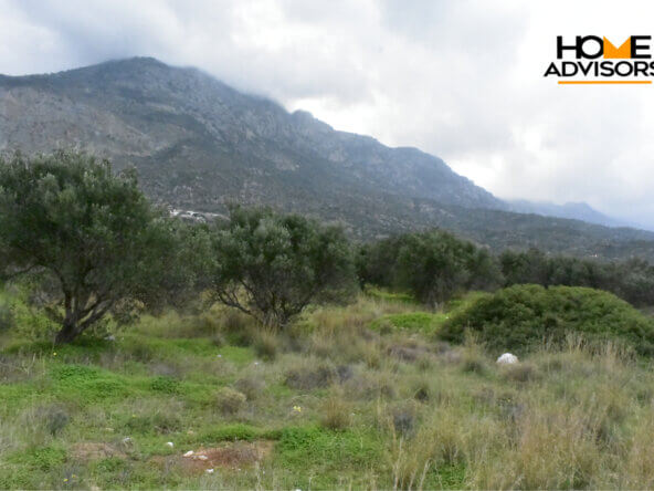 4200 sqm plot in the area of Monastiraki | Crete
