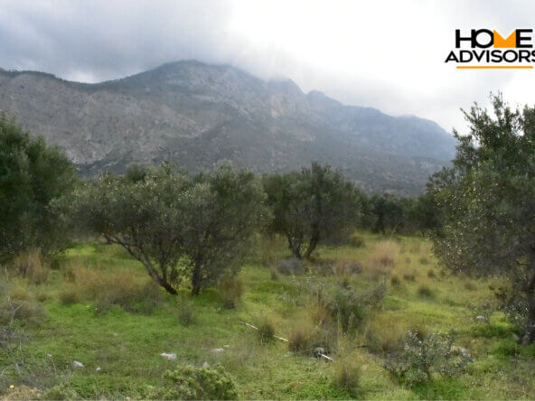 4200 sqm plot in the area of Monastiraki | Crete