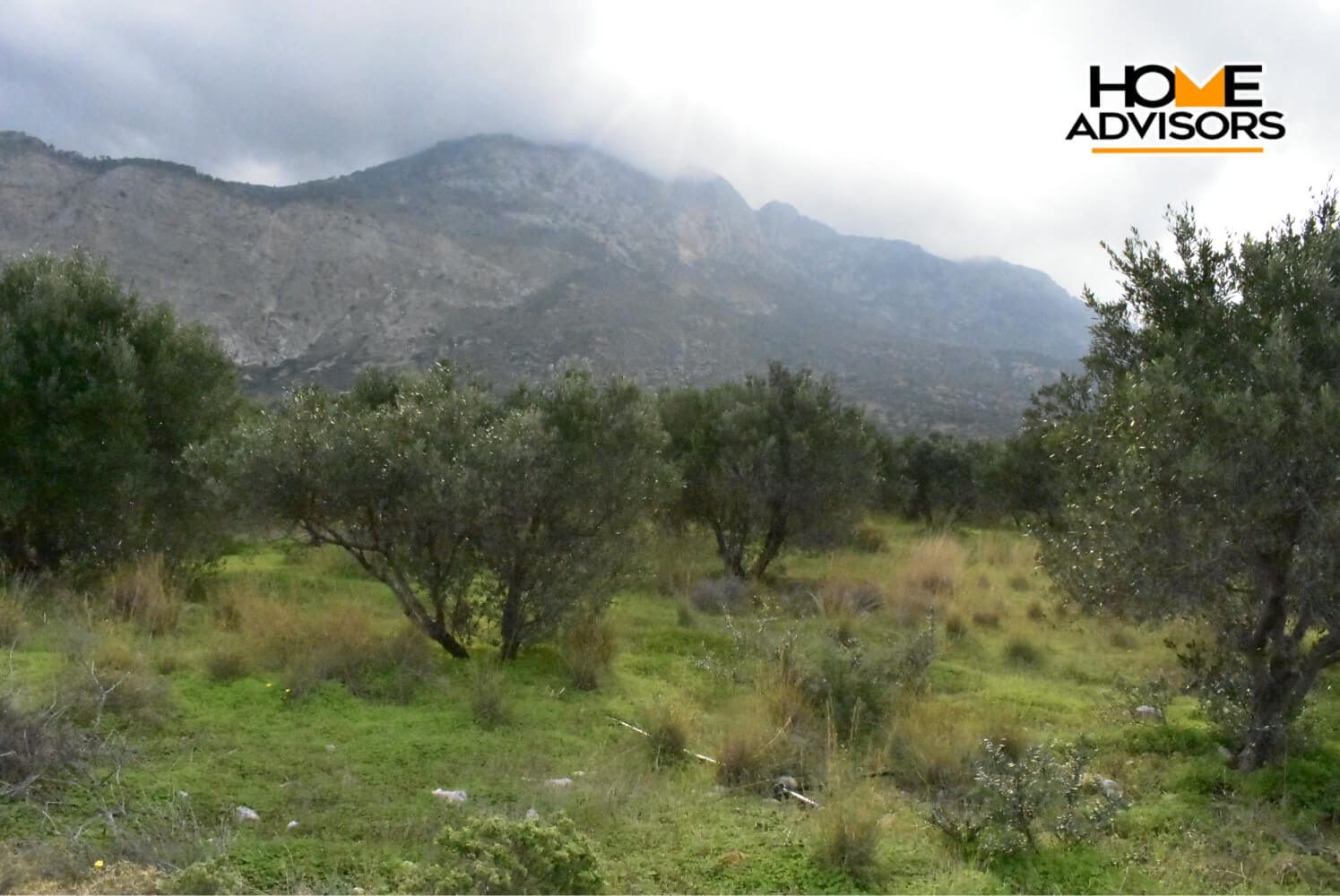 4200 sqm plot in the area of Monastiraki | Crete