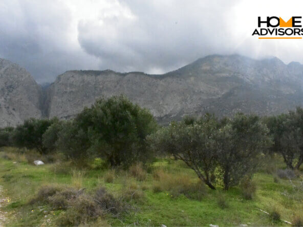 4200 sqm plot in the area of Monastiraki | Crete