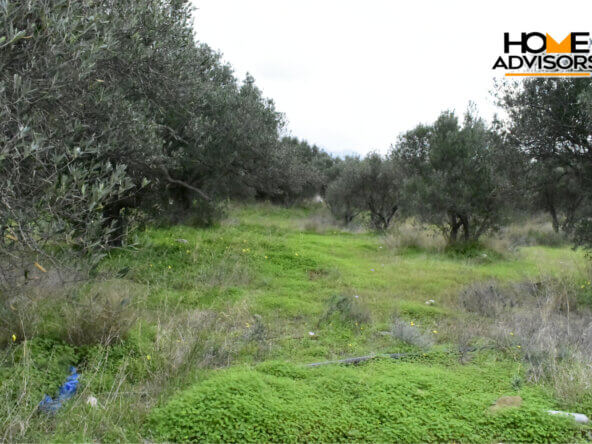 4200 sqm plot in the area of Monastiraki | Crete